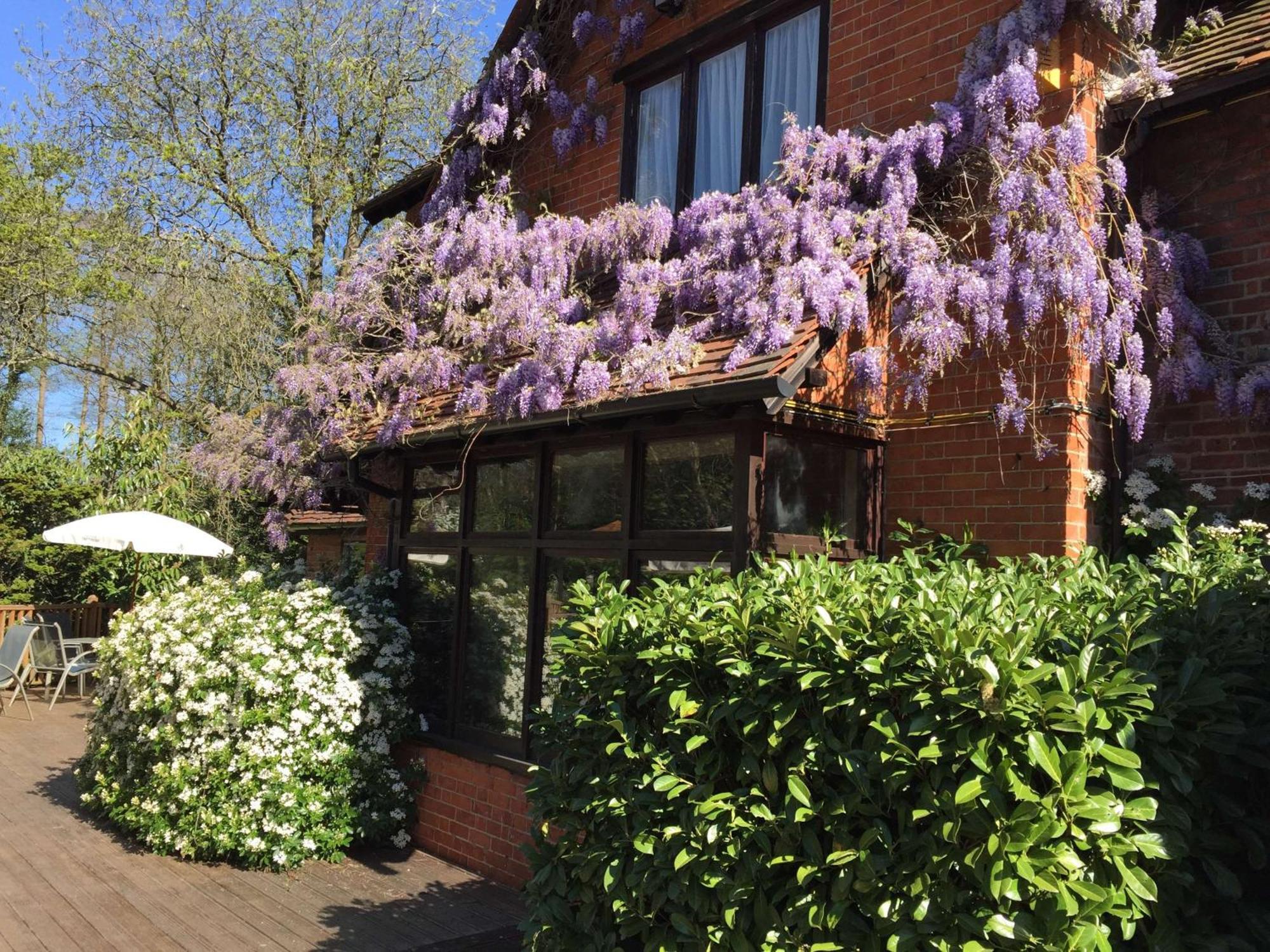 The Casa Hotel, Sure Hotel Collection By Best Western Yateley Eksteriør bilde